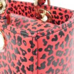 Christian_Dior_Lady_Dior_Medium_Bag_5