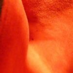 Damier_Marais_N42240_Shoulder_Bag_8