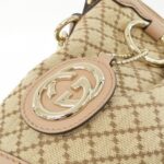 GUCCI_247902_FAGEG_Bag_6