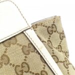 Gucci_189831_FFPAG_Bag_5