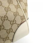 Gucci_257061_FFKPG_Bag_5