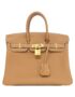 Hermes_Birkin_25cm_041344CC_Bag_1
