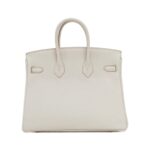 Hermes_Birkin_25cm_041344CC_Bag_2