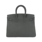 Hermes_Birkin_25cm_041344CC_Bag_2