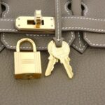 Hermes_Birkin_25cm_041344CC_Bag_4