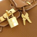 Hermes_Birkin_25cm_041344CC_Bag_4