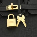 Hermes_Birkin_25cm_041344CC_Bag_5