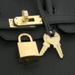 Hermes_Birkin_25cm_041344CC_Bag_5