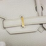 Hermes_Birkin_25cm_041344CC_Bag_5