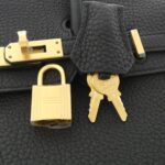 Hermes_Birkin_25cm_Bag_4