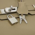Hermes_Birkin_30cm_030520CK_Bag_5