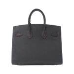 Hermes_Birkin_Sellier_25cm_Bag_2