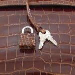 Hermes_Kelly_25cm_028317CK_Bag_4