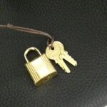 Hermès_Picotin_Lock_MM_060991CC_Bag_3