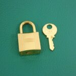 Hermes_Picotin_Lock_PM_073597CC_Bag_5