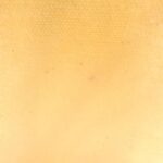 Hermes_SAC_PLAGE_CABAS_FEUILLAGE_PM_102255M_Bag_9