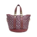 Louis_Vuitton_Aviator_M40384_Bag_2