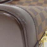 Louis_Vuitton_Damier_Alma_PM_Bag_N51131_2