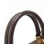 Louis_Vuitton_Damier_Alma_PM_Bag_N51131_4