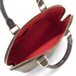 Louis_Vuitton_Damier_Alma_PM_N53151_Bag_5