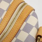 Louis_Vuitton_Damier_Azur_Stresa_PM_N42220_Shoulder_Bag_8