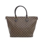 Louis_Vuitton_Damier_Ebene_Saeliya_MM_N51182_Bag_1
