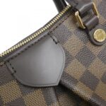 Louis_Vuitton_Damier_Ebene_Siena_PM_N41545_Bag_4