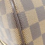 Louis_Vuitton_Damier_Libera_MM_N41434_Bag_2
