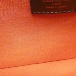 Louis_Vuitton_Damier_Libera_MM_N41434_Bag_6