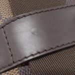 Louis_Vuitton_Damier_Olaf_PM_N41442_Shoulder_Bag_5