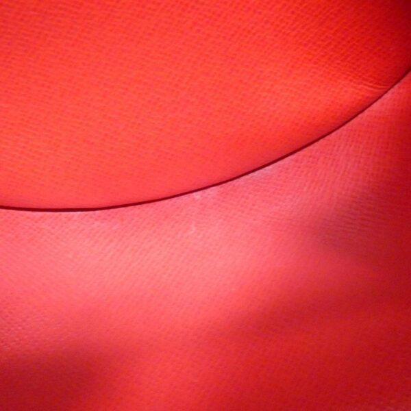 Louis_Vuitton_Damier_Papillon_30cm_N51303_Bag_8