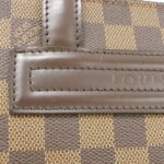 Louis_Vuitton_Damier_Parioli_PM_N51123_Bag_3