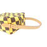 Louis_Vuitton_Damier_Pop_Shoes_Bag_N40570_Bag_2