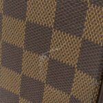 Louis_Vuitton_Damier_Saleya_MM_N51188_Bag_3