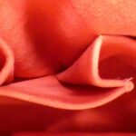 Louis_Vuitton_Damier_Saleya_PM_N51183_Bag_10