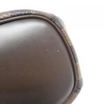 Louis_Vuitton_Damier_Saria_Oriental_N51282_Bag_3