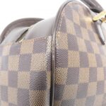 Louis_Vuitton_Damier_Saria_Oriental_N51282_Bag_5