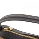 Louis_Vuitton_Damier_Sauvage_Tiger_M92132_Bag_3