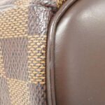Louis_Vuitton_Damier_Sélia_Oriental_N51282_Bag_3