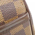 Louis_Vuitton_Damier_Sélia_Oriental_N51282_Bag_4