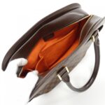 Louis_Vuitton_Damier_Sélia_Oriental_N51282_Bag_8