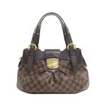 Louis_Vuitton_Damier_Sistina_PM_N41542_Bag_1