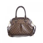 Louis_Vuitton_Damier_Trevi_PM_N51997_Bag_1