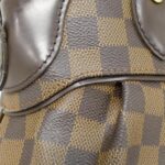Louis_Vuitton_Damier_Trevi_PM_N51997_Bag_3