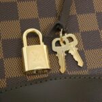 Louis_Vuitton_Damier_Verona_PM_N41117_Bag_4