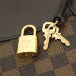 Louis_Vuitton_Damier_Verona_PM_N41117_Bag_7
