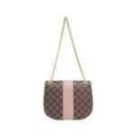 Louis_Vuitton_Damier_Wight_N64418_Shoulder_Bag_2
