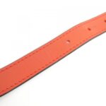 Louis_Vuitton_Epi_Supreme_Danube_PM_M53417_Shoulder_Bag_6