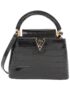 Louis_Vuitton_Exotic_Leather_Capucines_Mini_P01131_Bag_1