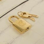 Louis_Vuitton_Exotic_Leather_City_Steamer_MINI_N98807_Bag_4